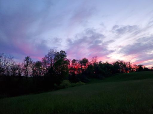 The sunset was glorious, as so many are at Fair Hill and Big Elk Preserve