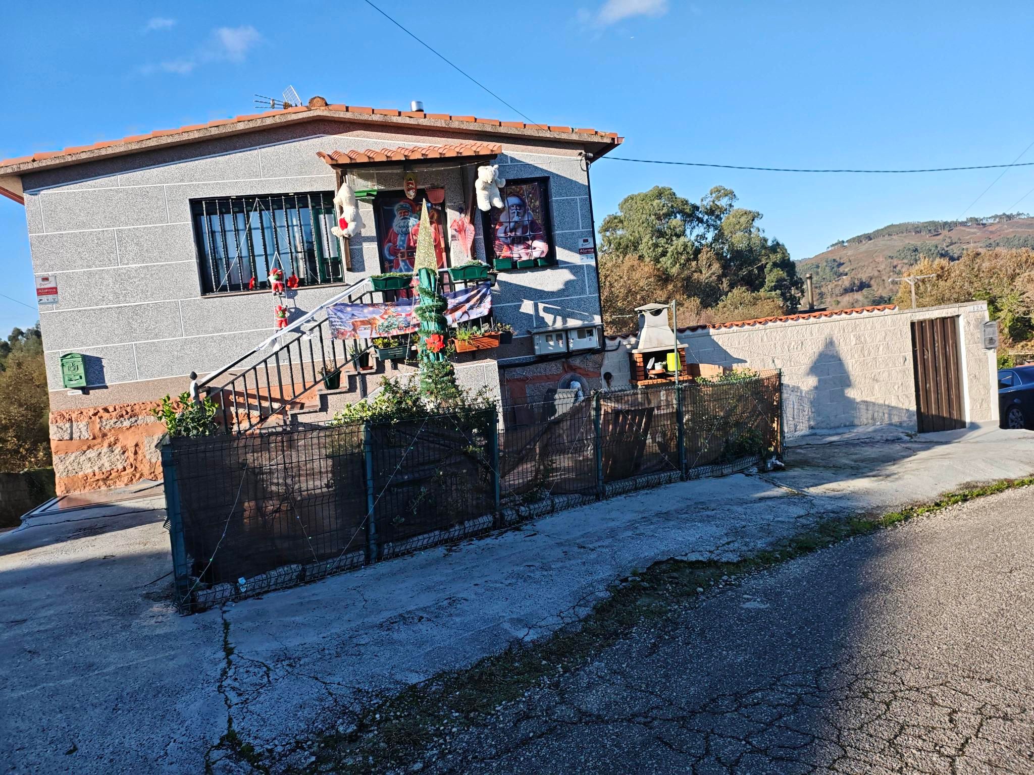 Nalgúns sitios véñense moi arriba co gallo do Nadal 😱😱