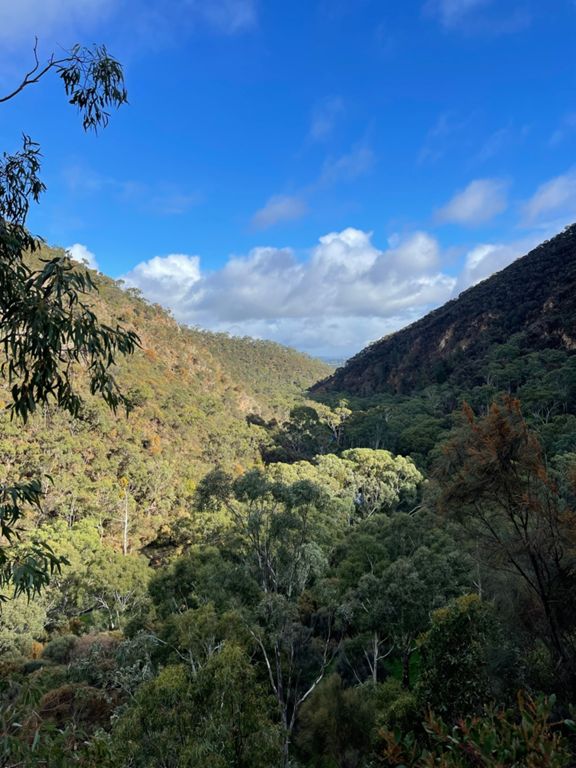 Corkscrew Loop 21.6 km Cycling Route on Strava