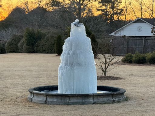 Not something you see very often in Alabama!