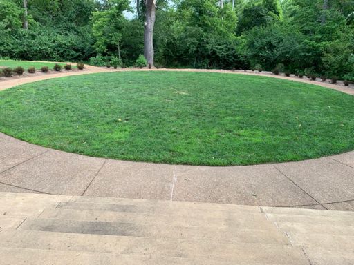 A circle of grass