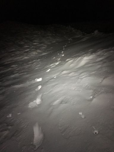 Making tracks down the north face of Allermuir