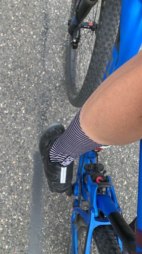 Mit Zebra nur gute Erfahrungen gemacht 🦓