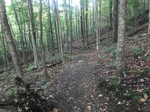 hiking trail that had steps 👎🏼