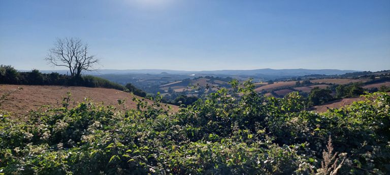 View that caught my eye after descending from the Combeteignhead heavens. Yet still high up.