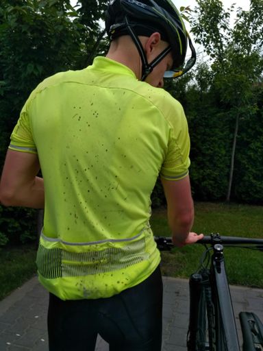 Biedronka 🐞 na plecach