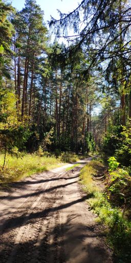 Грунтобаны рядом с Егорьевском