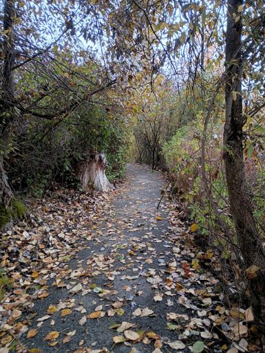 The beginning of our ride. Climbing Wilburton.