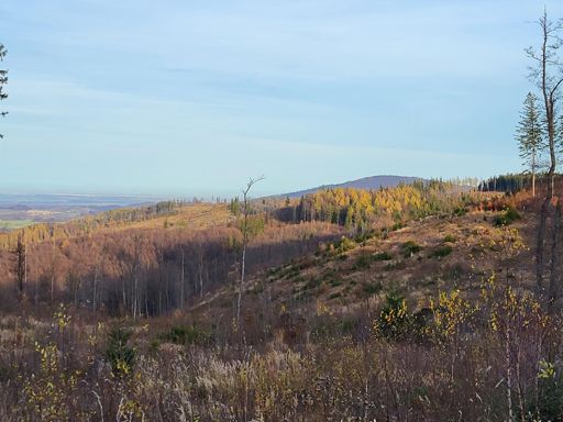 Pohled na "Bišovku"