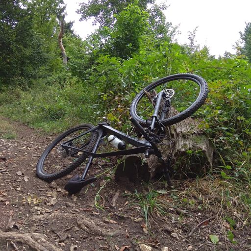 Parking v malinci! Dodriapany ako zajacica!