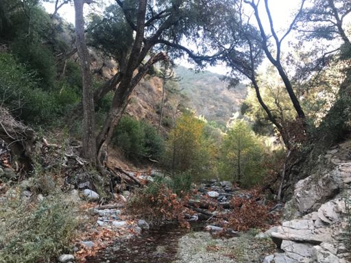 Usually the easiest route is to go straight through the creek.