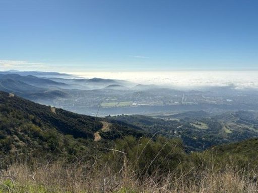 That fireroad used to be Lower Joplin single-track.  😔   RIP