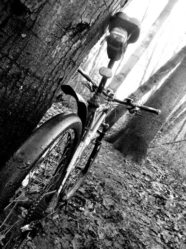 ☝️Der wahre Könner zeigt sich bei der Reifenwahl...