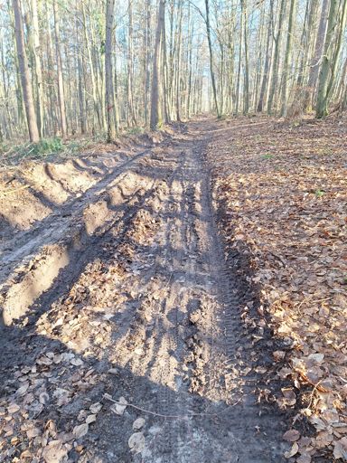 Die Fahrräder machen den ganzen Wald kaputt
