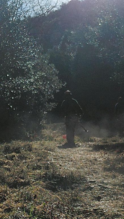 A Tuio y Montevite desde Mandaita