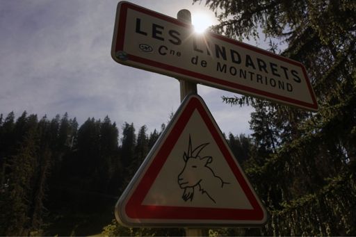 Meeeehhh. Heeft de bedenker van het kudde-geiten-loslaten-in-gehucht-om-toeristen-te-trekken ook nagedacht over de reële kans op geitenstrontgeur tijdens het nuttigen van je maaltijd in één van de talrijke eetetablissementen?