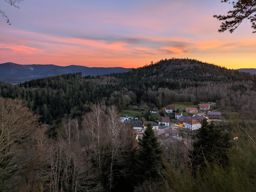 Back home, bonne année !