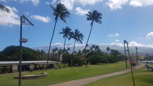 Not a bad spot for some intervals