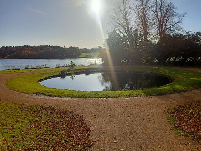 Wings for Life World Run 10k 10.1 km Running Route on Strava