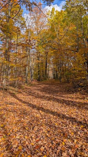 At the start of the Hall Tract. Then the sun would hide behind the clouds for the rest of the hike. 