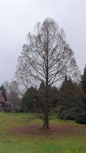 Hanau_ID23761_BM_Am Neuwirtshaus 10