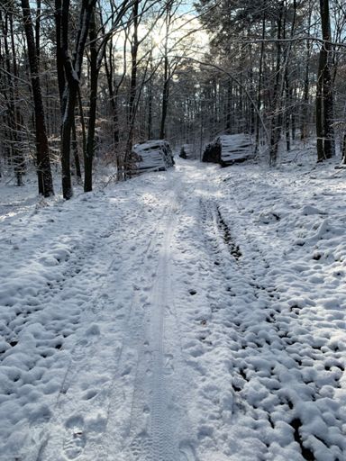 Weiße Pracht, i love it🤮