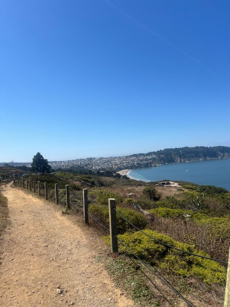 Butterlap (Presidio & Golden Gate Park) photo 37