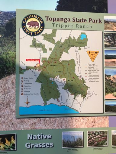 Of FCC n GF gun cgnneegk or  far u s