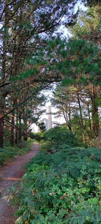 Saw this at the side, stopped and followed the path.