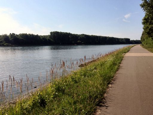 Am Rhein