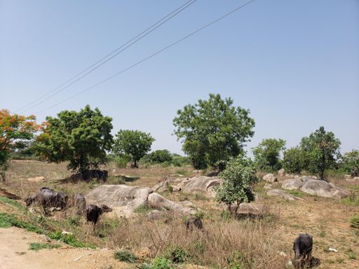 Hyderabad is on the Declan Plateau. Google the Deccan Traps. Lots of lava. Those rocks are igneous.