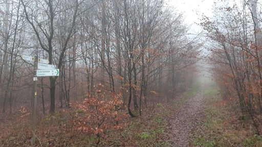 Ausgeschilderter Radweg zum Altenburgturm 🙈