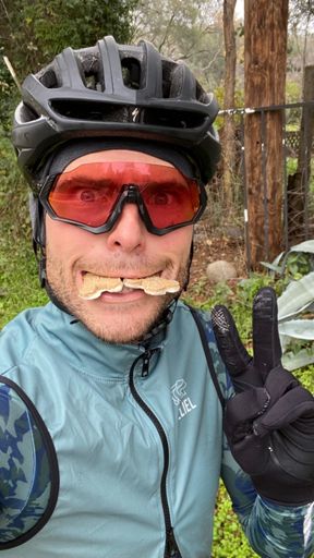 The last of my gingerbread cookies