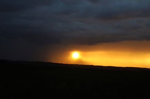 #3 Selected Ambient Works, Vol. II