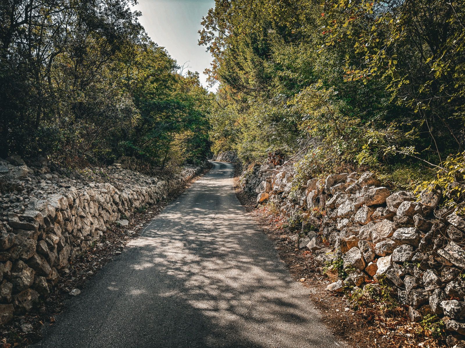 Ride Image 9