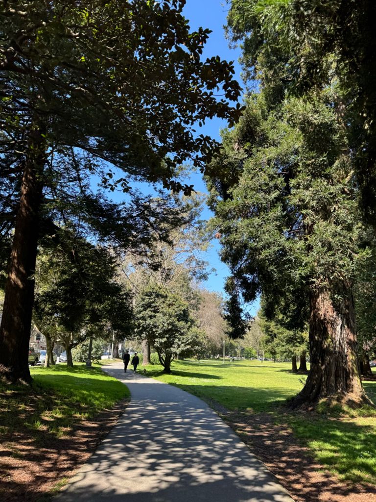 Butterlap (Presidio & Golden Gate Park) photo 174