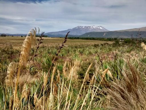 Mighty volcanoes of the Central Plateau. Love this land.