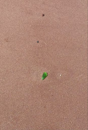 A sweet piece of Greenwich green 