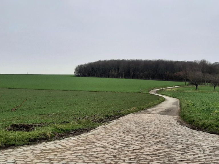 route-highlight