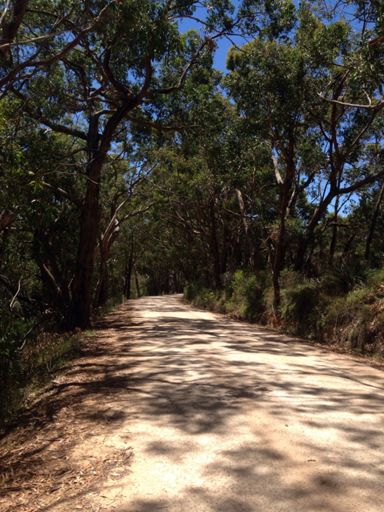 Roads less travelled = less cars!