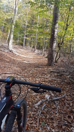 Hülsentrail zum Hahnenkamm
