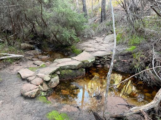 All the creeks were flowing