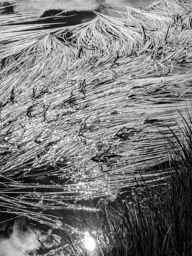 Lacs des Estaris, roc Dolion et retour par Prapic