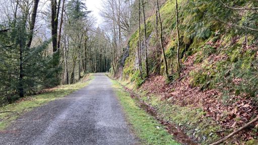 The Issaquah-Preston Trail is really nice. Nicest part of the ride today.