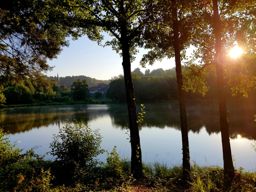 Haut de la soie - test cheville