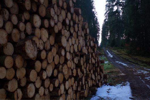 Ik houd van in Maastricht wonen want daar kun je in een middagje van bananenpannenkoekjes eten met een extraordinaire Ethiopische flat white  on the side bij Grand Café Wobiklingel naar de onherbergzame uithoeken van het Belgenland peddelen om daar vervolgens tot de conclusie te komen dat je zin hebt om met je leenpoes Puckie op de bank te liggen onder het genot van een extraordinaire wederom  door het Grand Café Wobiklingel geserveerde chocolat chaud op welk moment dan ineens het zonnetje gaat schijnen zodat je met een big smile op je zelfvoldane en verwilderde hoofd terug af kunt zakken naar de beloofde stad waar niemand weet op welke idiote plek je een paar uur daarvoor nog door de bosjes aan het woelen was op zoek naar een mooie tegel.