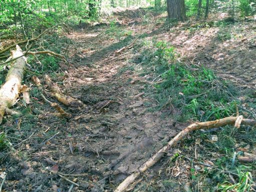 And eventually i was walking, not riding