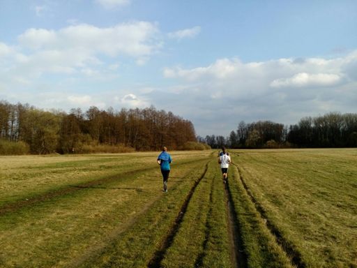od Poděbrad vstříc Olomouci