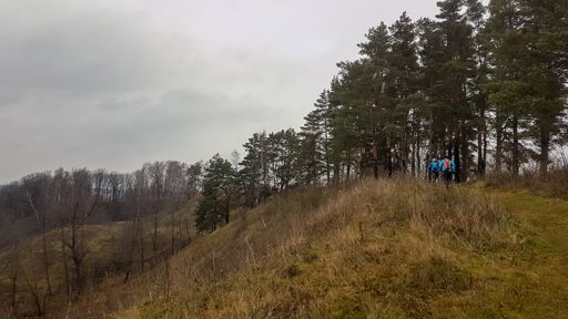 Холм южнее Игумново.