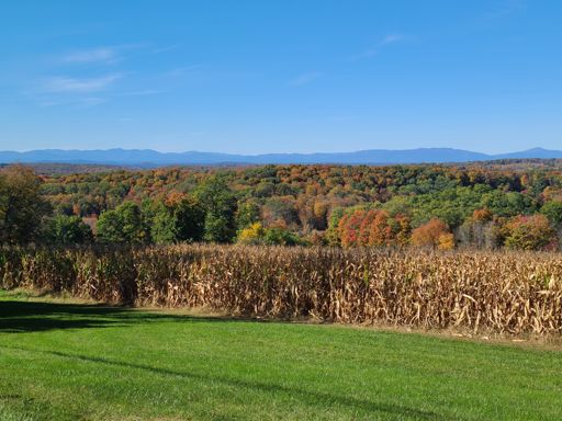 View from the top of Tower Hill Rd.  Absolutely worth the climb!  Fall colors and Catskills Mountains in the distance.